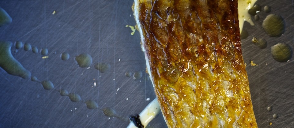 boga del rio paraná olivas negras